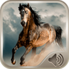 Logo of Horse Sounds android Application 