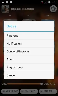 Horse Sounds android App screenshot 1