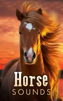 Horse Sounds android App screenshot 4